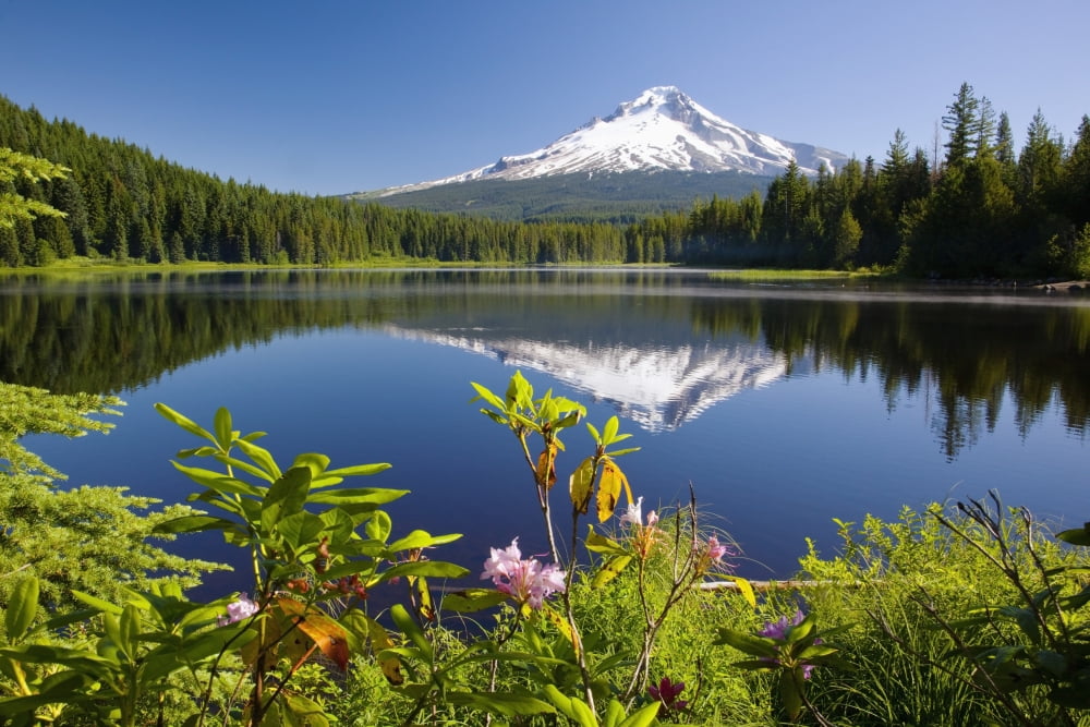Reflection Of Mount Hood In Trillium Lake In The Oregon Cascades Oregon United States Of America Canvas Art - Craig Tuttle Design Pics (38 x 24)