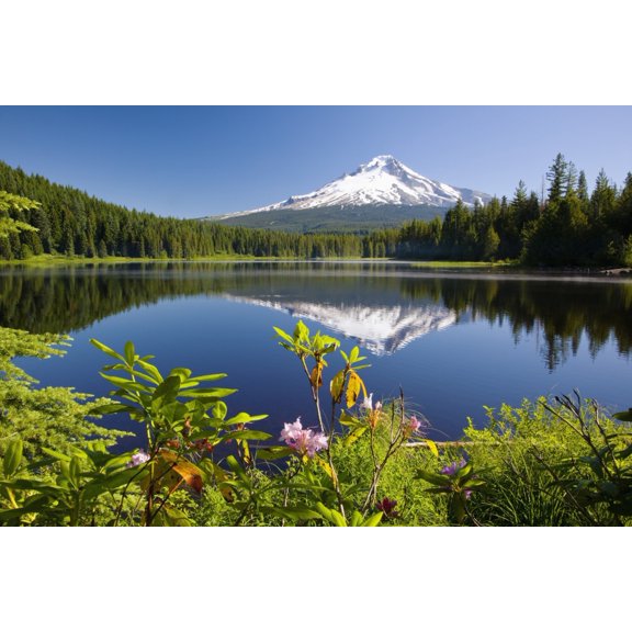 Reflection Of Mount Hood In Trillium Lake In The Oregon Cascades Oregon United States Of America Canvas Art - Craig Tuttle Design Pics (38 x 24)