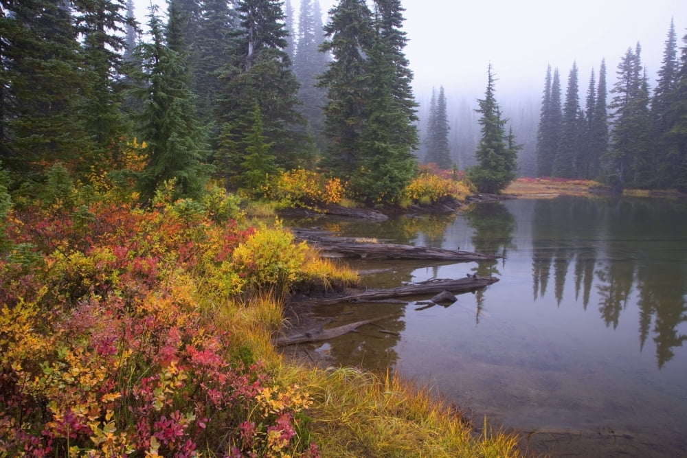 Reflection On Lake In Autumn Mount Rainier National Park Washington Usa Canvas Art - Craig Tuttle  Design Pics (19 x 12)