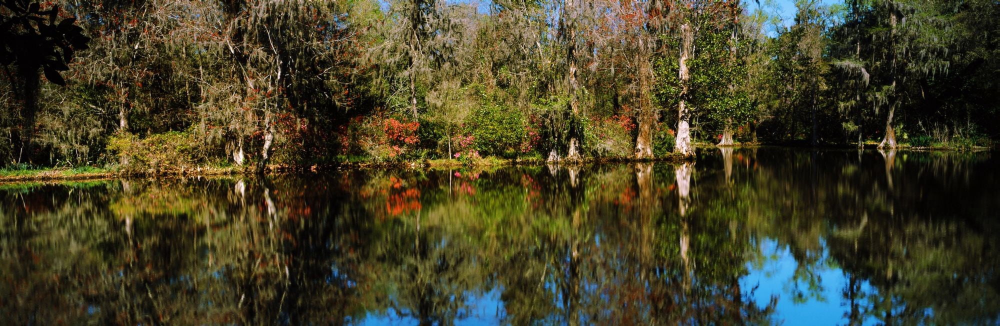 Reflection of Spanish Moss covered trees on water Magnolia Plantation and Gardens Charleston South Carolina USA Canvas Art - Panoramic Images (27 x 9)
