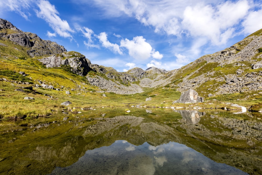 Reflection of the Talkeetna Mountains in a beaver pond near Reed Lakes Trail in Hatcher Pass In Southcentral Alaska summer Canvas Art - Ray Bulson Design Pics (19 x 12)