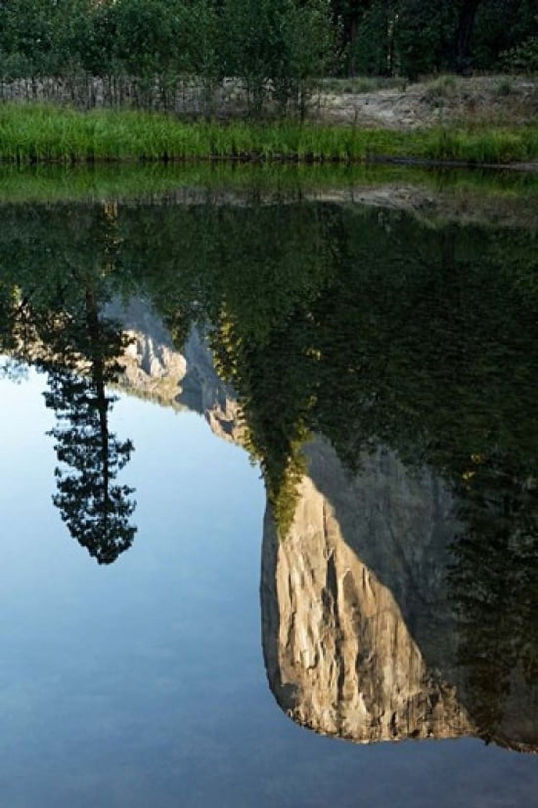 Reflection of El Capitan in Mercede River Yosemite National Park California - Vertical Canvas Art - Jaynes Gallery DanitaDelimont (18 x 24)
