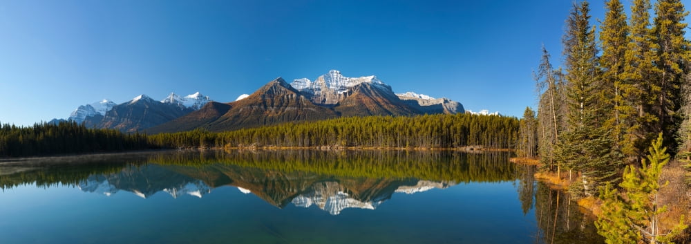 Reflection of Mount Temple in Herbert Lake Banff National Park Alberta Canada Canvas Art - Panoramic Images (13 x 36)