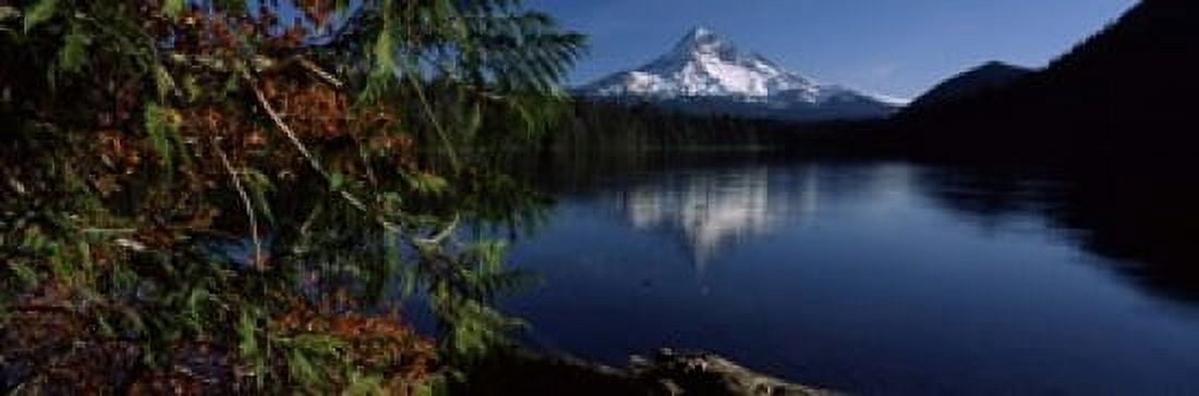 Reflection of a mountain in a lake Mt Hood Lost Lake Mt Hood National Forest Hood River County Oregon USA Canvas Art - Panoramic Images (18 x 6)