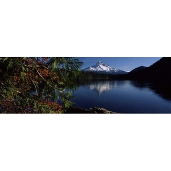 Reflection of a mountain in a lake Mt Hood Lost Lake Mt. Hood National Forest Hood River County Oregon USA Poster Print by - 36 x 12