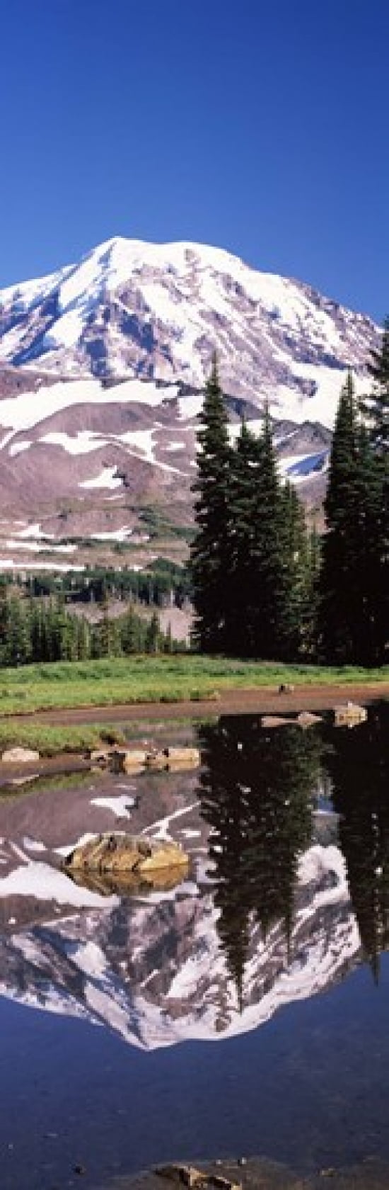 Reflection of a mountain in a lake Mt Rainier Pierce County Washington State USA Canvas Art - Panoramic Images (36 x 12)