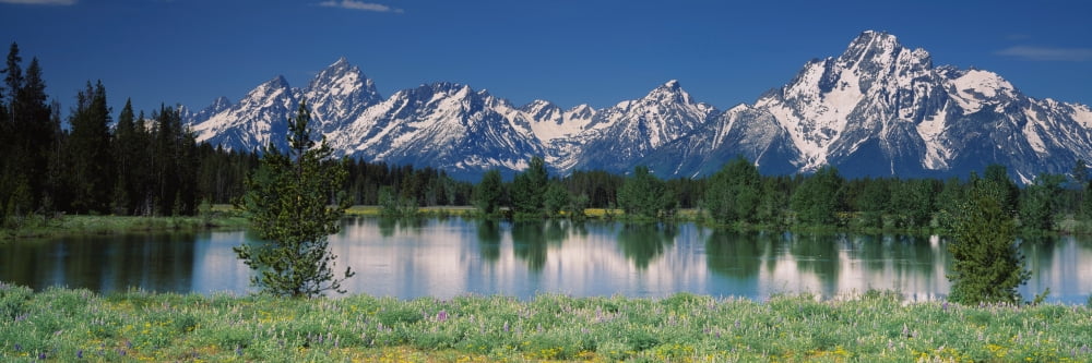 Reflection of a mountain range and pine trees in water Grand Teton National Park Wyoming USA Canvas Art - Panoramic Images (27 x 9)