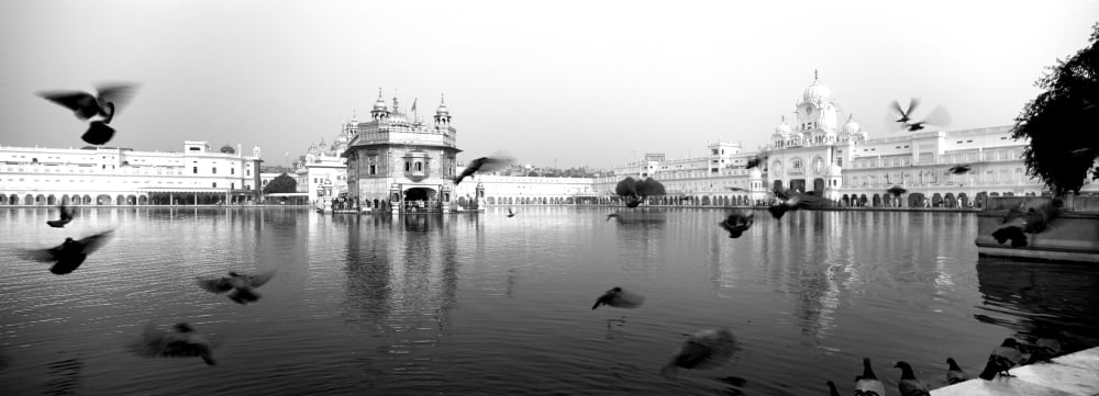 Reflection of a temple in a lake Golden Temple Amritsar Punjab India Canvas Art - Panoramic Images (13 x 36)