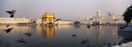 Reflection of a temple in a lake Golden Temple Amritsar Punjab India Canvas Art - Panoramic Images (36 x 13)