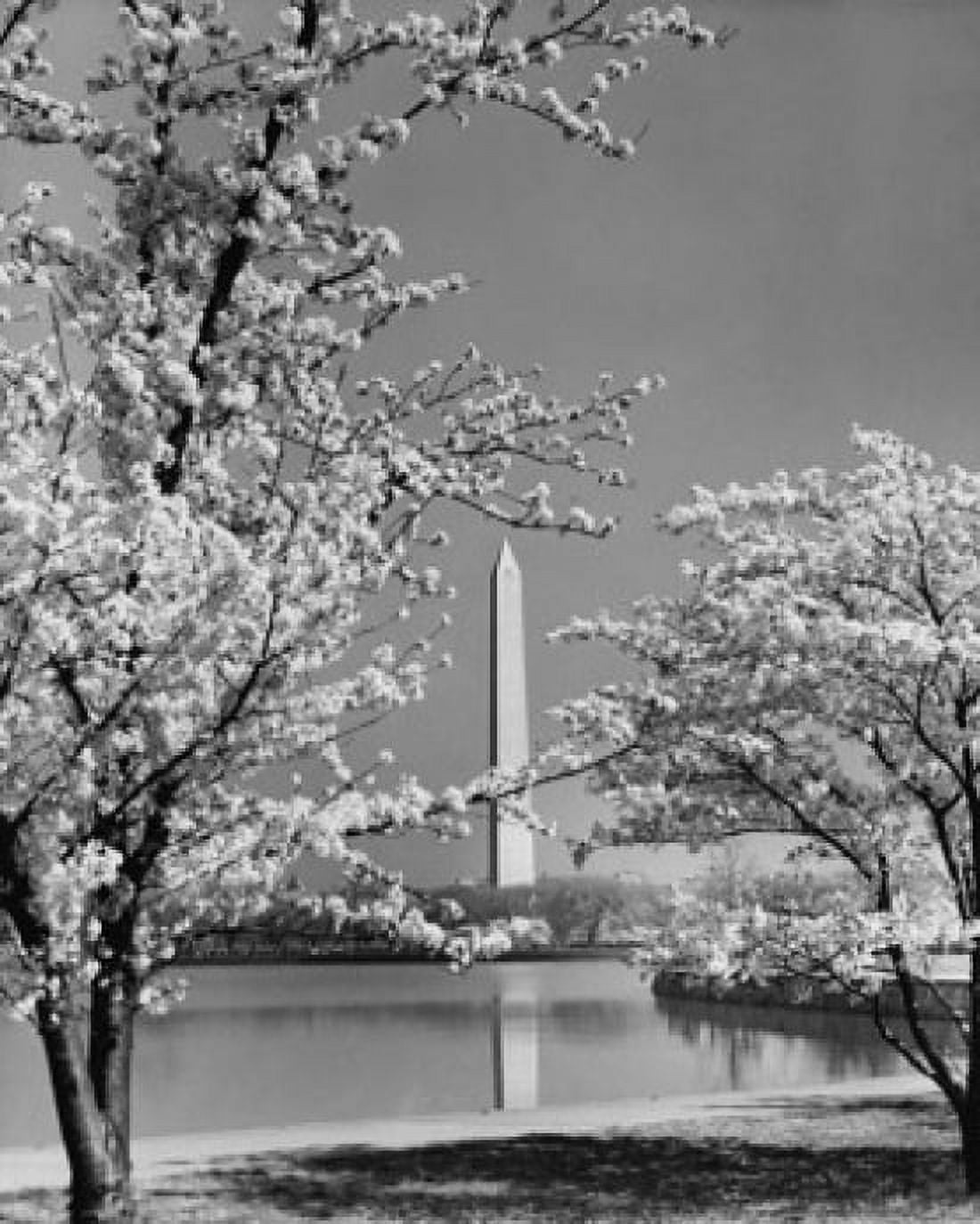 Reflection of an obelisk in water Washington Monument Washington DC USA Canvas Art - (24 x 36)