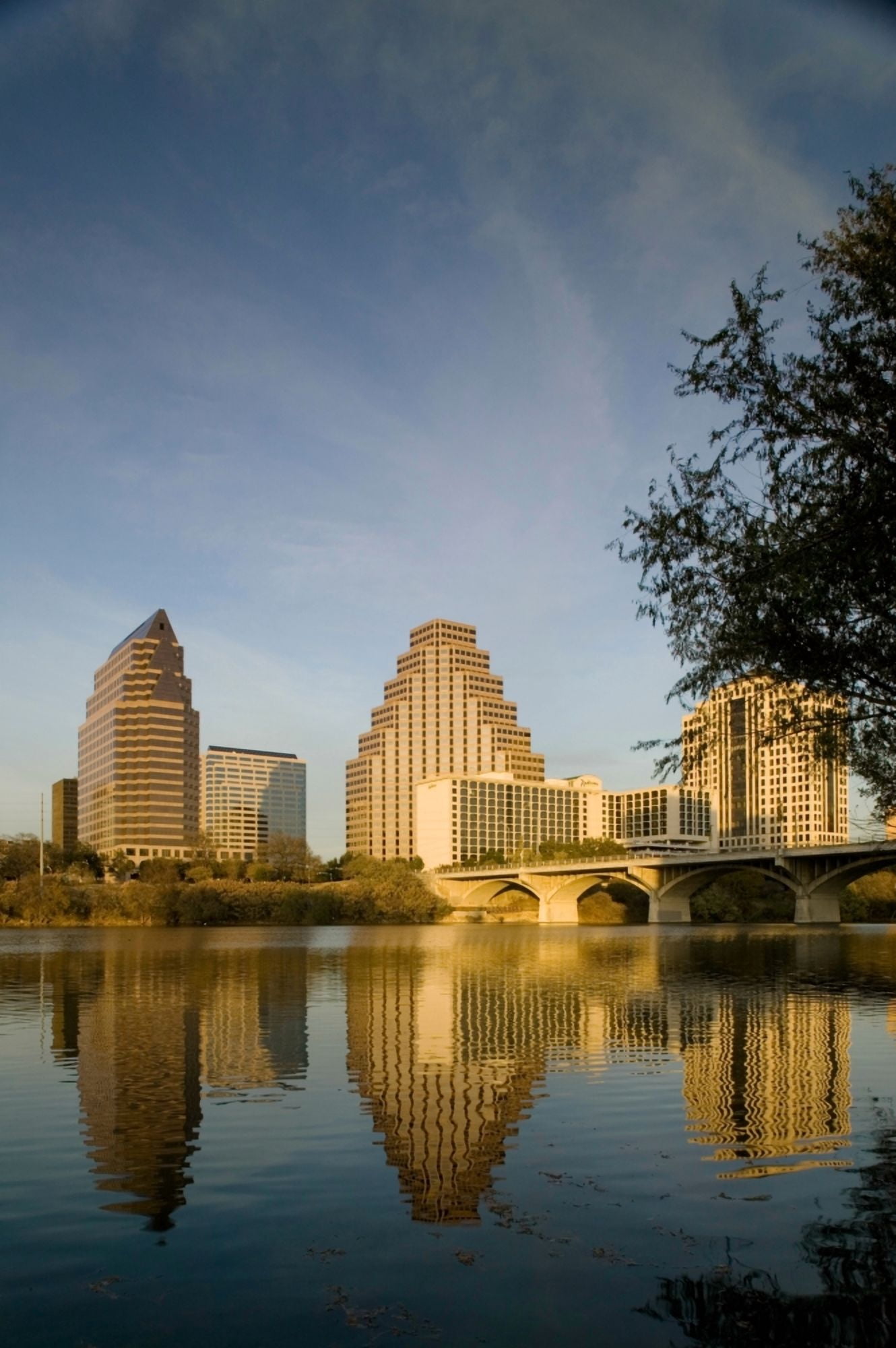 Reflection of buildings in water Town Lake Austin Texas USA Canvas Art - Panoramic Images (36 x 12)