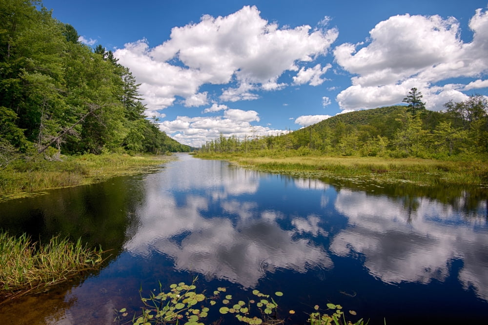 Reflection of clouds in Oxbow Lake Outlet Adirondack Park New York State USA Canvas Art - Panoramic Images (36 x 12)