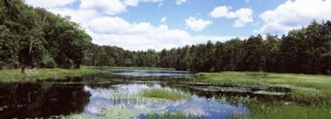 Reflection of clouds in a pond Adirondack Mountains New York State USA Canvas Art - Panoramic Images (18 x 7)