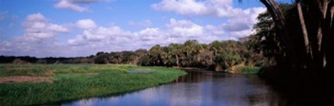 Reflection of clouds in a river Myakka River Myakka River State Park Sarasota County Florida USA Canvas Art - Panoramic Images (18 x 6)