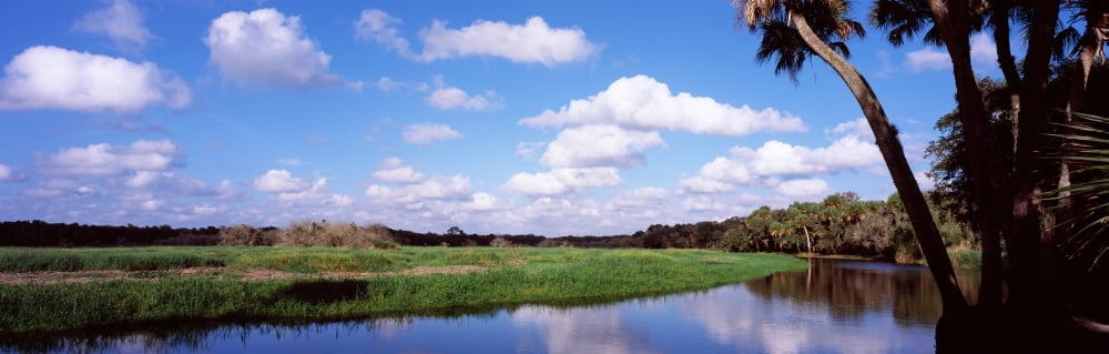Reflection of clouds in a river Myakka River Myakka River State Park Sarasota County Florida USA Canvas Art - Panoramic Images (36 x 12)