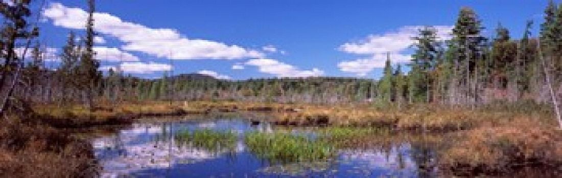 Reflection of clouds in water Raquette Lake Adirondack Mountains New York State USA Canvas Art - Panoramic Images (36 x 12)
