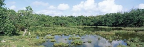 Reflection of clouds in water Watamu Marine National Park Watamu Coast Province Kenya Canvas Art - Panoramic Images (36 x 12)