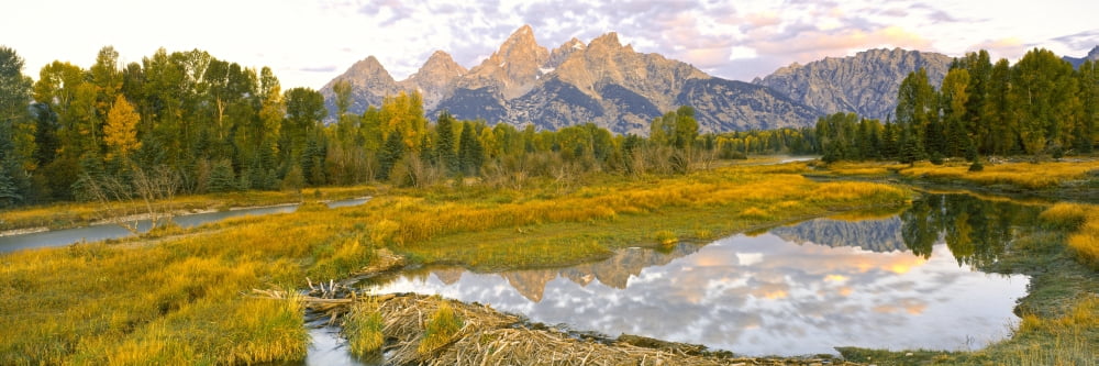Reflection of clouds on water Beaver Pond Teton Range Grand Teton National Park Wyoming USA Canvas Art - Panoramic Images (27 x 9)