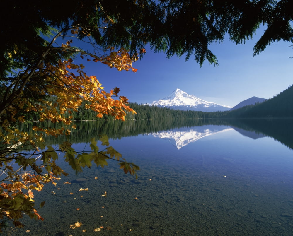 Reflection of mountain and trees in a lake Mt Hood Lost Lake Mt Hood National Park Oregon USA Canvas Art - Panoramic Images (28 x 22)