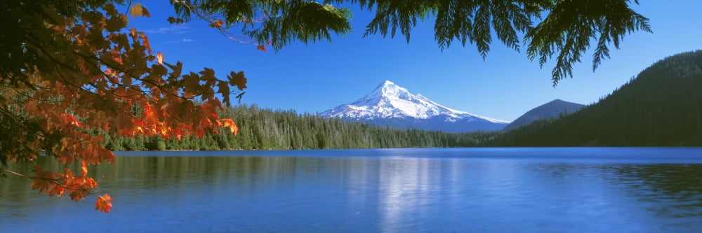 Reflection of mountain in a lake Lost Lake Mt Hood Mt Hood National Forest Oregon USA Canvas Art - Panoramic Images (27 x 9)
