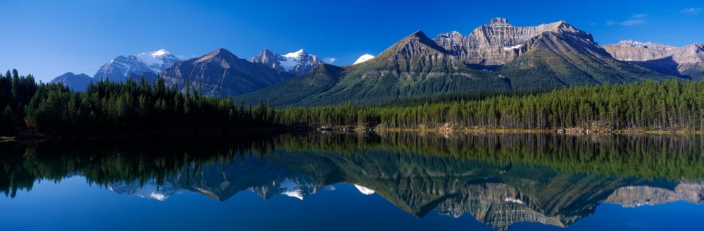 Reflection of mountains in Herbert Lake Banff National Park Alberta Canada Canvas Art - Panoramic Images (12 x 36)