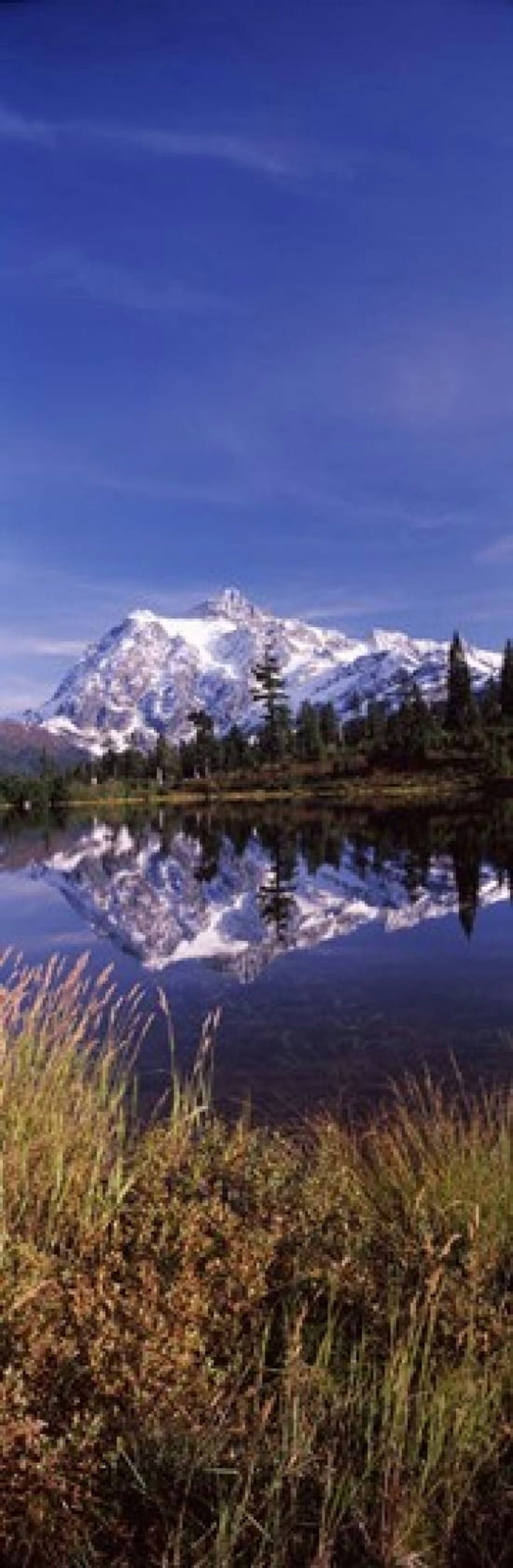 Reflection of mountains in a lake Mt Shuksan Picture Lake North Cascades National Park Washington State USA Canvas Art - Panoramic Images (18 x 6)