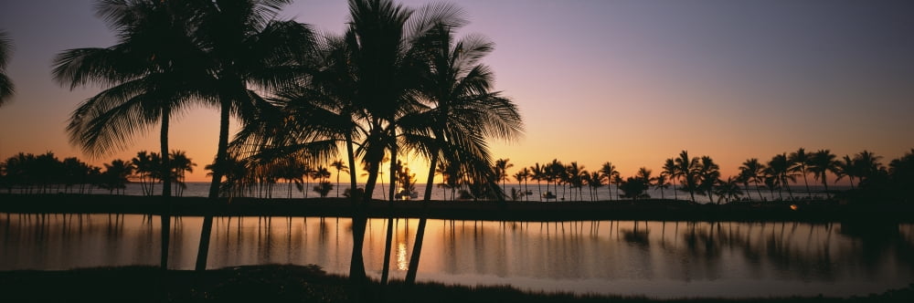 Reflection of palm trees in water Anaehoomalu Beach Hawaii USA Canvas Art - Panoramic Images (36 x 12)