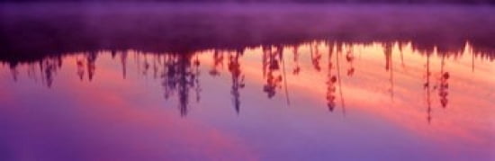 Reflection of plants in a lake at sunrise Taggart Lake Grand Teton National Park Wyoming USA Canvas Art - Panoramic Images (36 x 12)