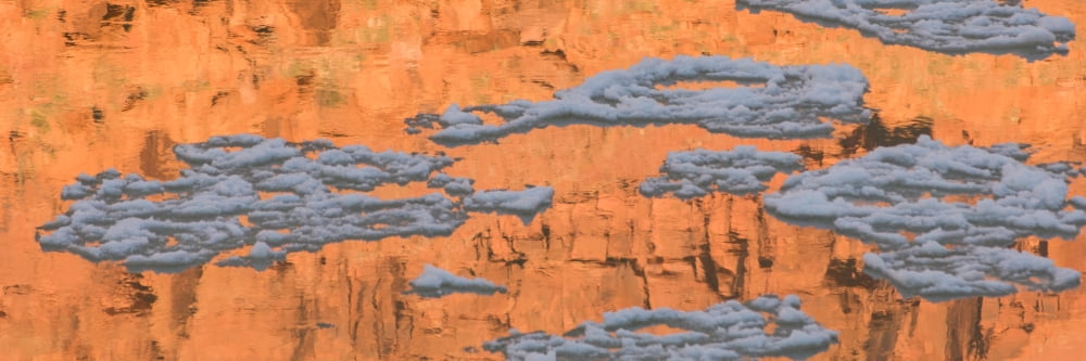 Reflection of sandstone wall in water Colorado River USA Canvas Art - Panoramic Images (12 x 36)