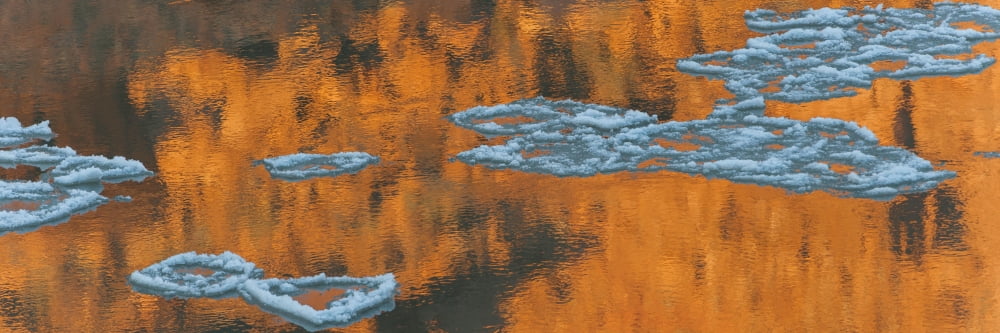 Reflection of sandstone wall in water Colorado River USA Canvas Art - Panoramic Images (12 x 36)