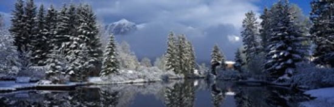 Reflection of tree in a creek Spring Creek Mt Rundle Canmore Alberta Canada Canvas Art - Panoramic Images (18 x 6)