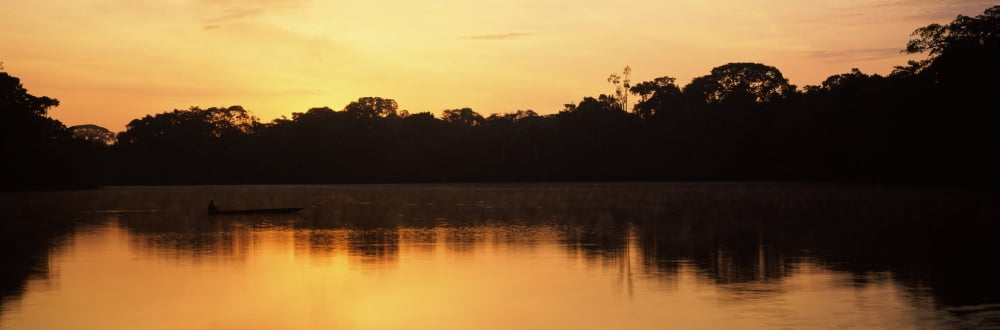 Reflection of trees in Napo River Oriente Ecuador Canvas Art - Panoramic Images (12 x 36)