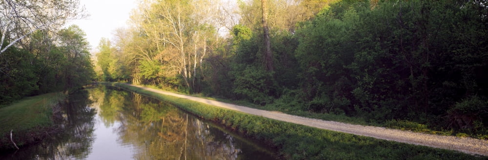 Reflection of trees in a canal Maryland USA Canvas Art - Panoramic Images (36 x 12)