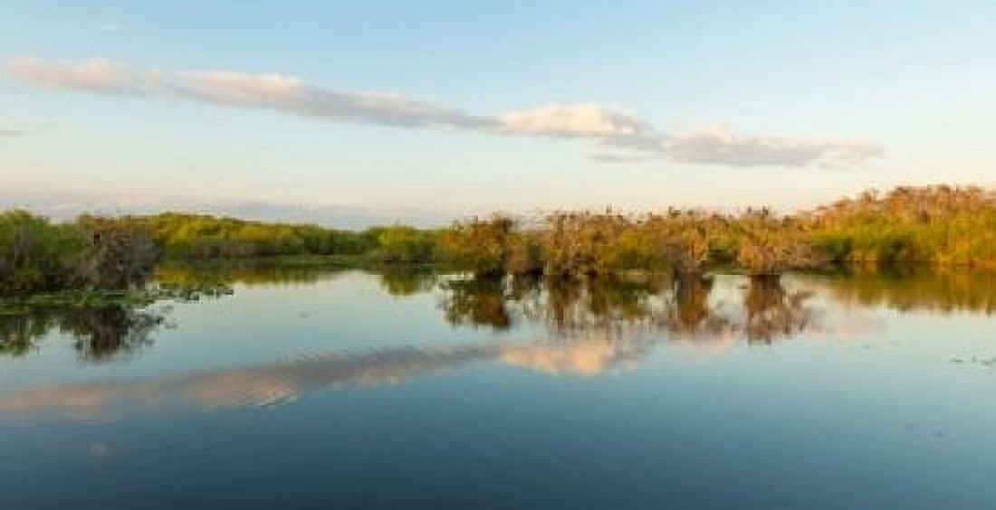 Reflection of trees in a lake Anhinga Trail Everglades National Park Florida USA Canvas Art - Panoramic Images (24 x 12)