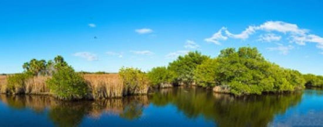 Reflection of trees in a lake Big Cypress Swamp National Preserve Florida USA Canvas Art - Panoramic Images (30 x 12)