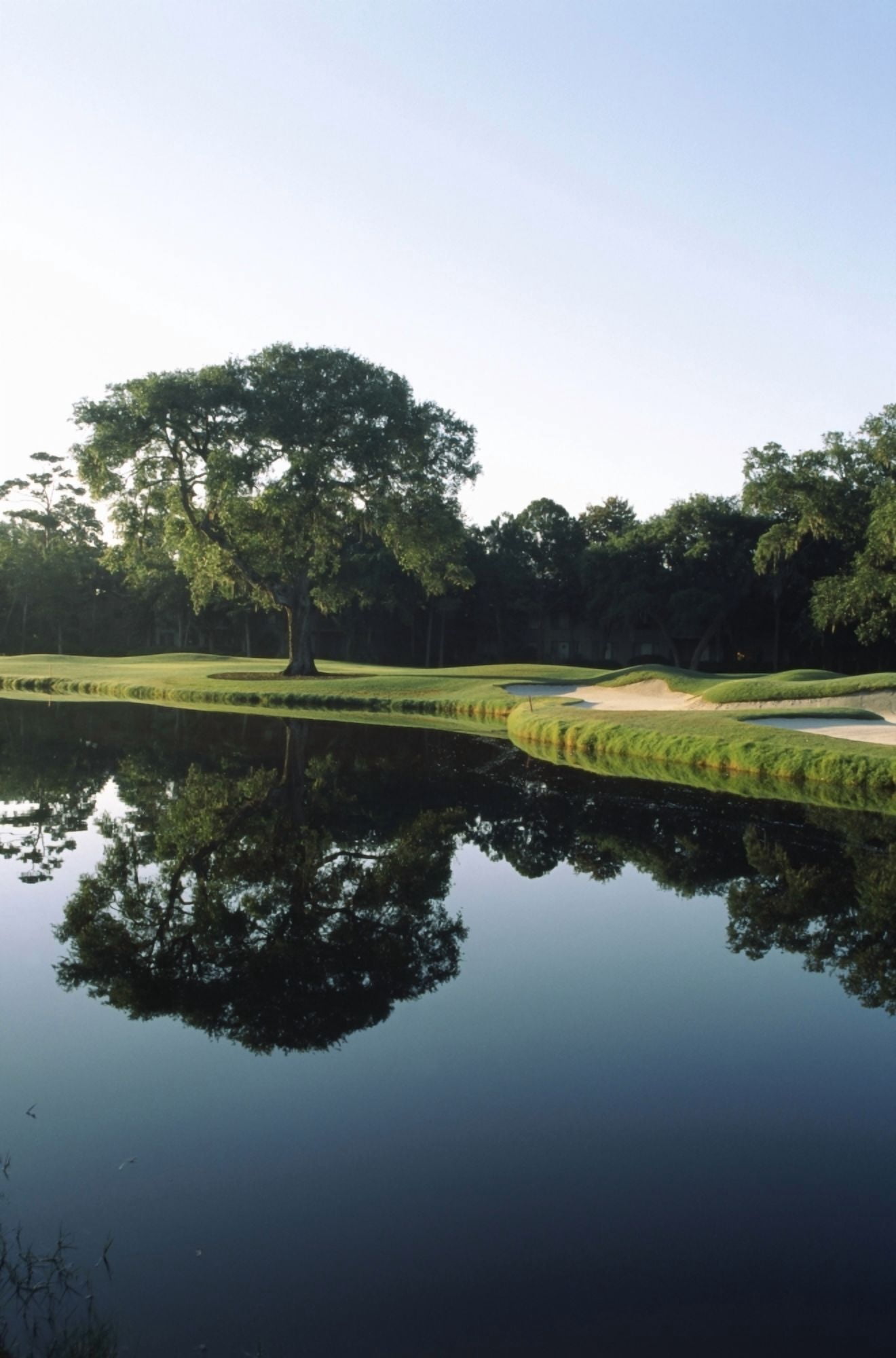 Reflection of trees in a lake Kiawah Island Golf Resort Kiawah Island Charleston County South Carolina USA Canvas Art - Panoramic Images (12 x 36)