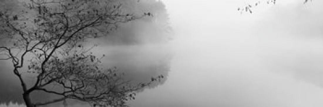 Reflection of trees in a lake Lake Vesuvius Wayne National Forest Ohio USA Canvas Art - Panoramic Images (36 x 12)