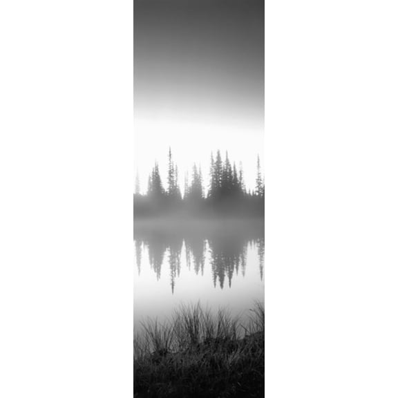 Reflection of trees in a lake, Mt Rainier, Mt Rainier National Park, Pierce County, Washington State, USA Poster Print (36 x 12)