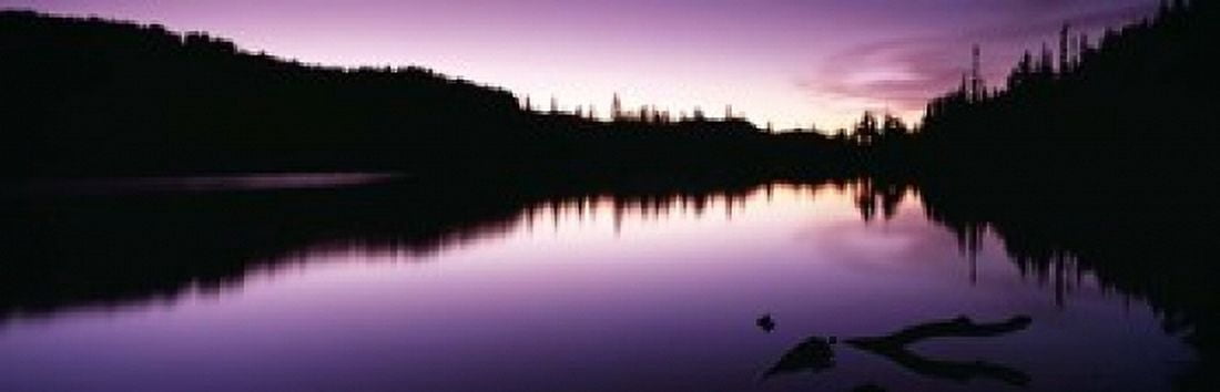 Reflection of trees in a lake Mt Rainier Mt Rainier National Park Pierce County Washington State USA Canvas Art - Panoramic Images (18 x 6)