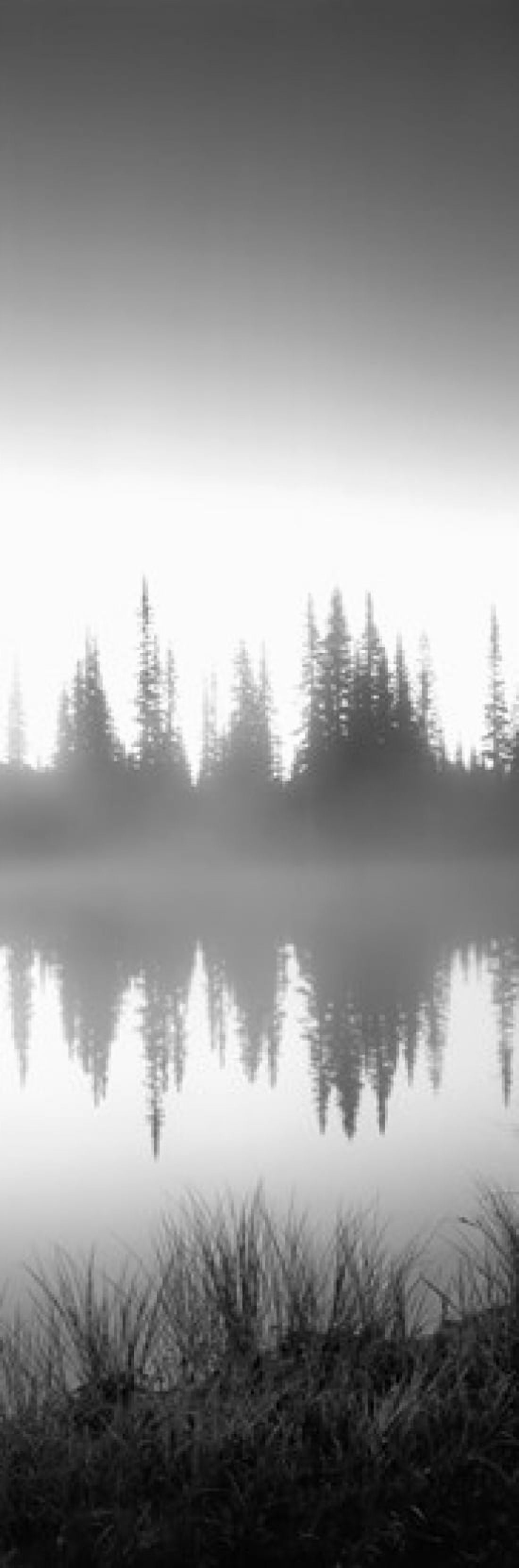 Reflection of trees in a lake Mt Rainier Mt Rainier National Park Pierce County Washington State USA Canvas Art - Panoramic Images (18 x 6)