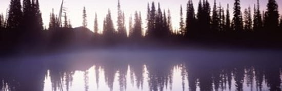 Reflection of trees in a lake Mt Rainier Pierce County Washington State USA Canvas Art - Panoramic Images (36 x 12)