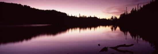 Reflection of trees in a lake Mt Rainier Pierce County Washington State USA Canvas Art - Panoramic Images (36 x 13)