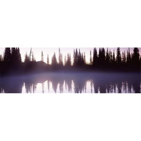 Reflection of trees in a lake Mt Rainier Pierce County Washington State USA Poster Print by - 36 x 12