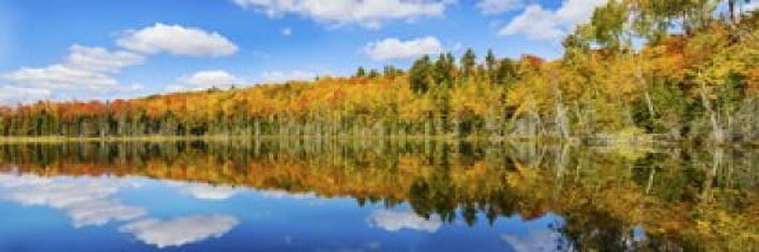 Reflection of trees in a lake Petes Lake Schoolcraft County Upper Peninsula Michigan USA Canvas Art - Panoramic Images (18 x 6)