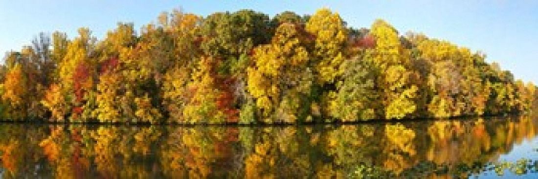 Reflection of trees in a lake Strawbridge Lake Moorestown New Jersey USA Canvas Art - Panoramic Images (18 x 6)
