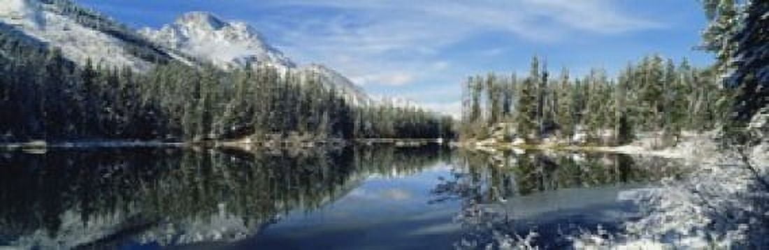 Reflection of trees in a lake Yellowstone National Park Wyoming USA Canvas Art - Panoramic Images (18 x 6)