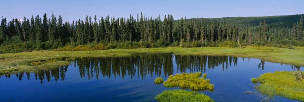 Reflection of trees in a pond British Columbia Canada Canvas Art - Panoramic Images (27 x 9)