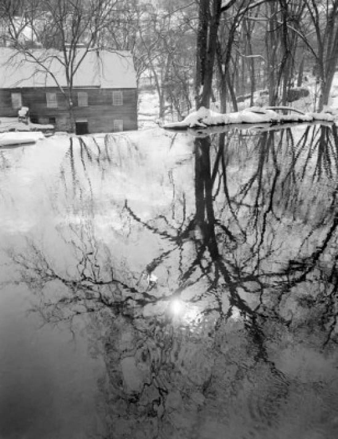 Reflection of trees in lake Canvas Art - (24 x 36)