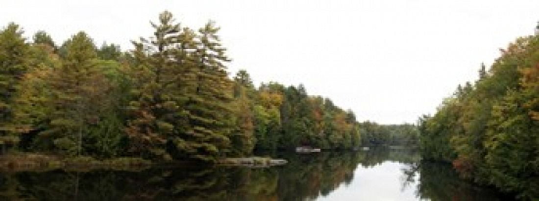 Reflection of trees in the Musquash River Muskoka Ontario Canada Canvas Art - Panoramic Images (15 x 6)