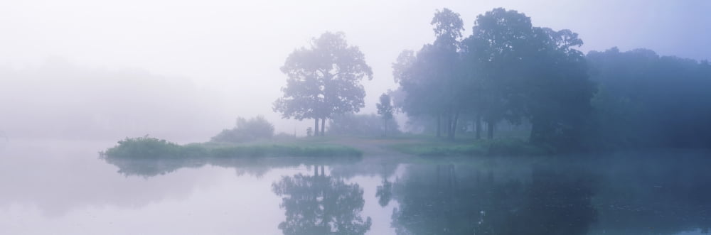 Reflection of trees in the foggy lake Kinmundy Lake Marion County Illinois USA Canvas Art - Panoramic Images (27 x 9)